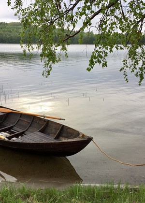 mooring-4586324_1280