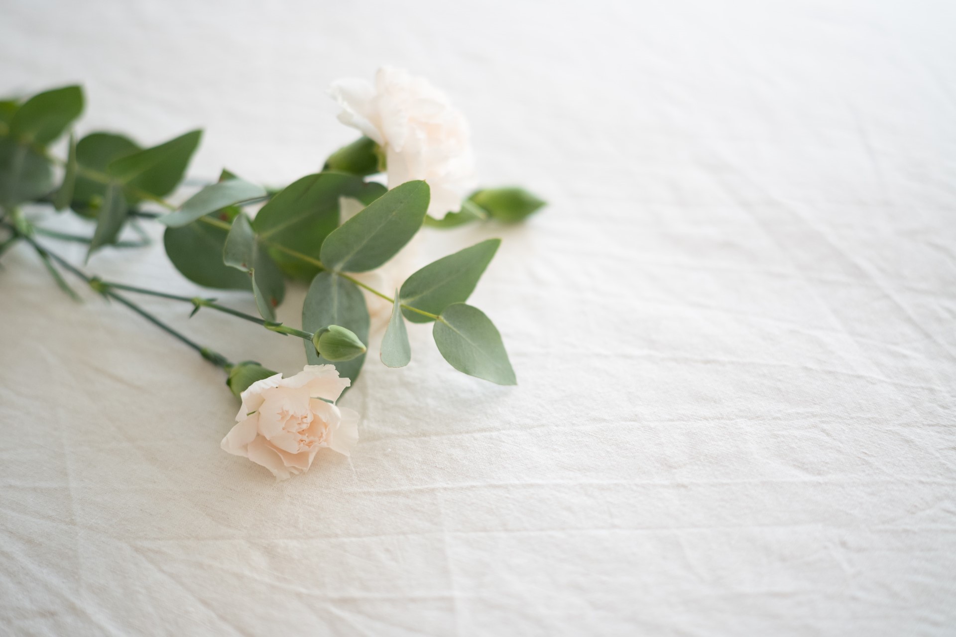 jacinta-christos-pJ8WXG5C_5U-unsplash