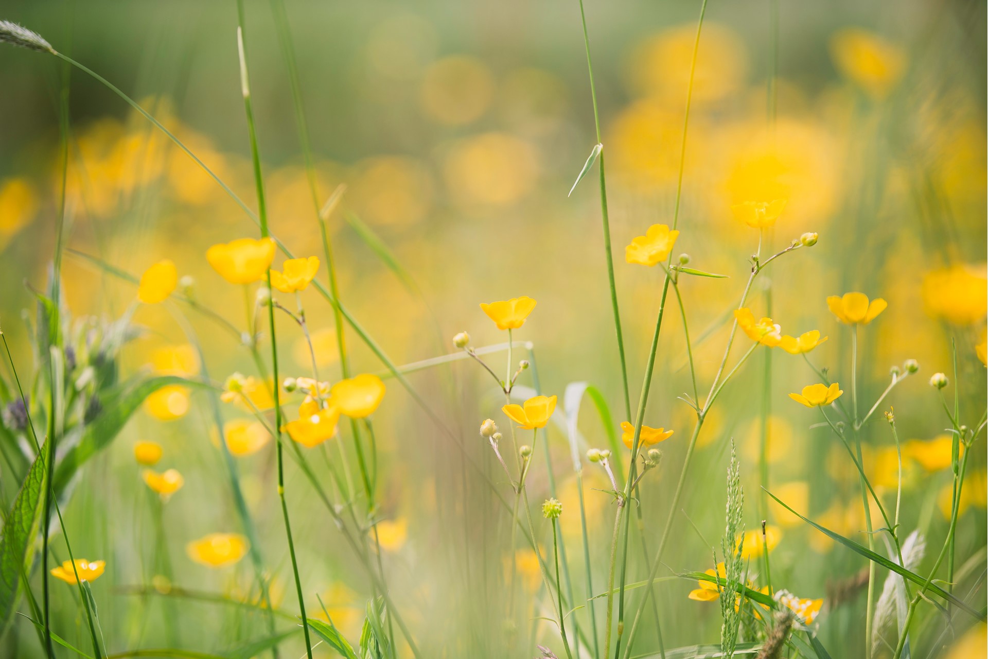 zoe-gayah-jonker-wiC-j1IK83c-unsplash